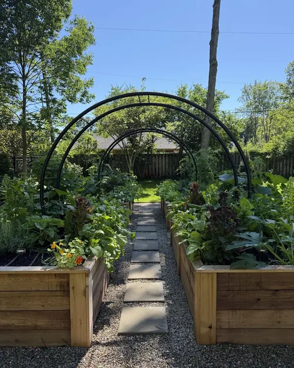 Garden arch trellis project