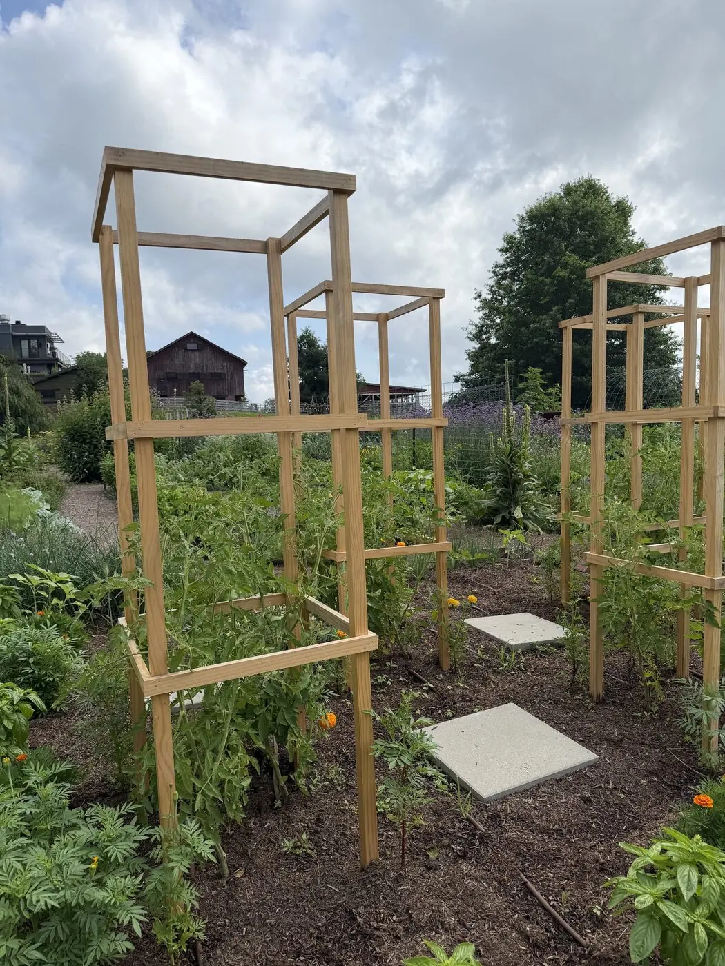Custom cedar garden tower trellises in a vegetable garden